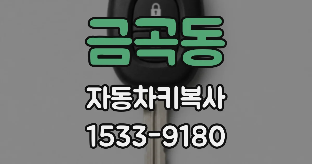 금곡동 자동차키복사