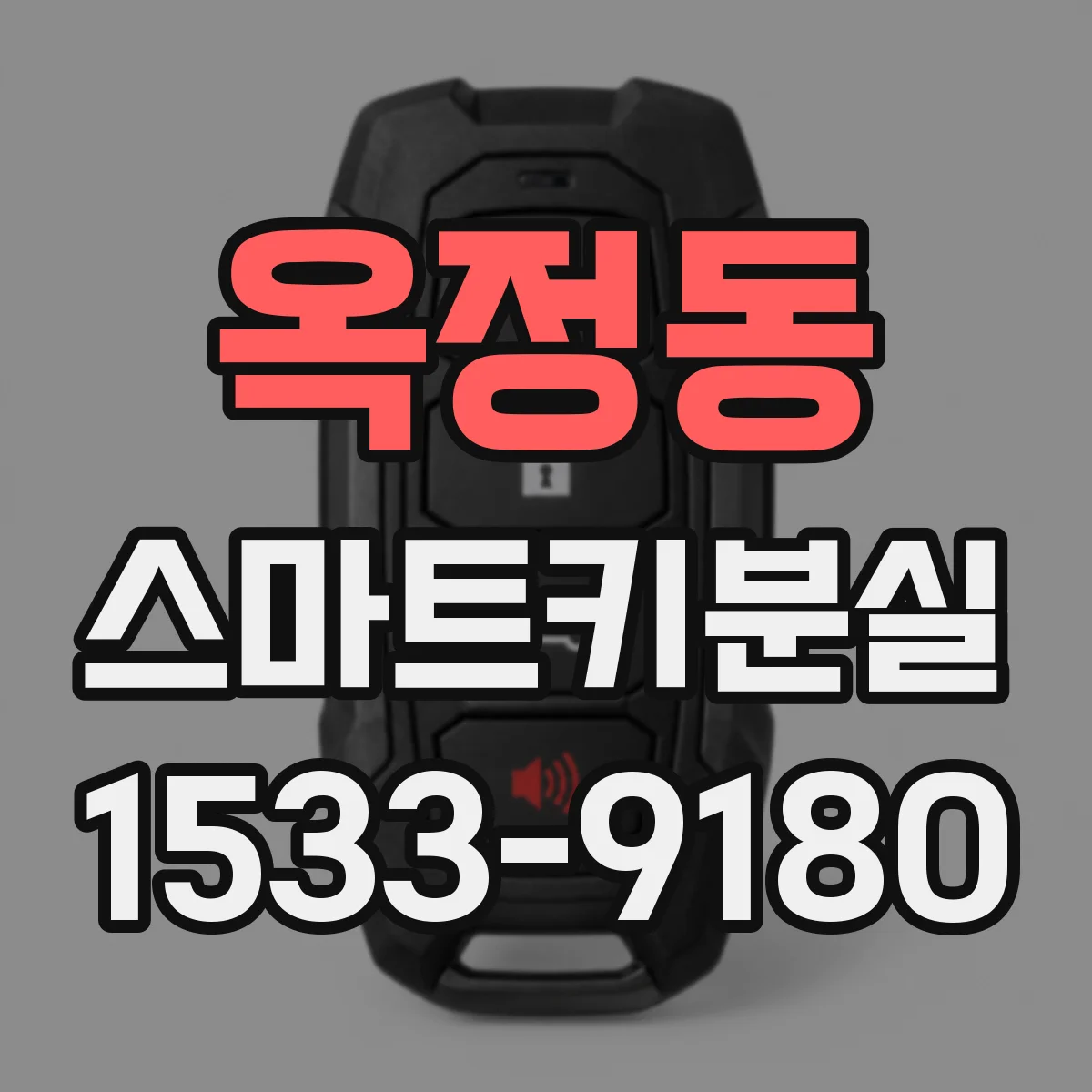 옥정동 스마트키분실