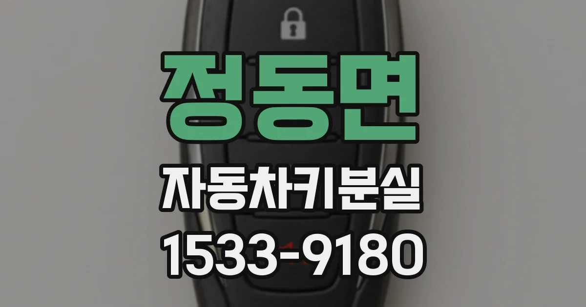 정동면 자동차키분실