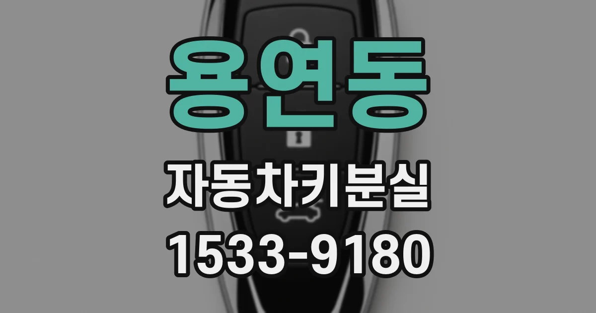 용연동 자동차키분실