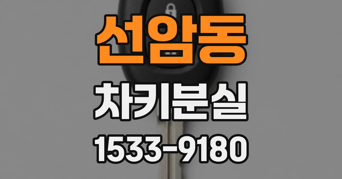 선암동 차키분실