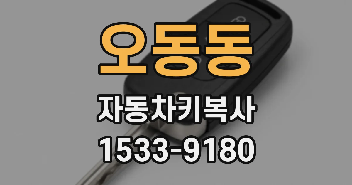 오동동 자동차키복사