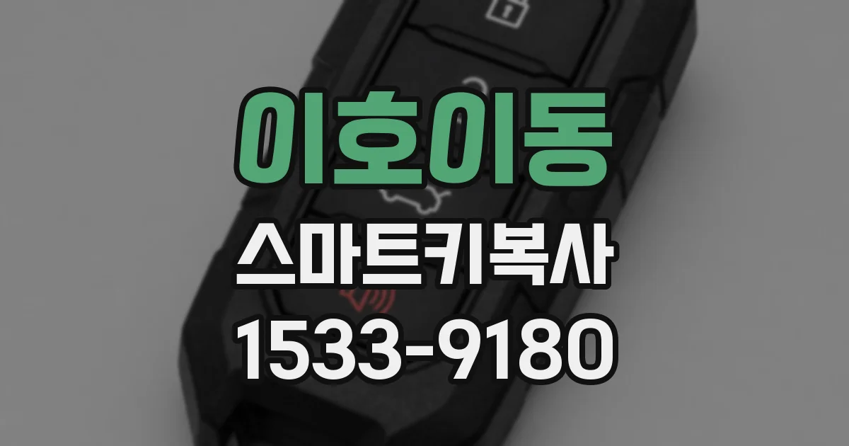 이호이동 스마트키복사
