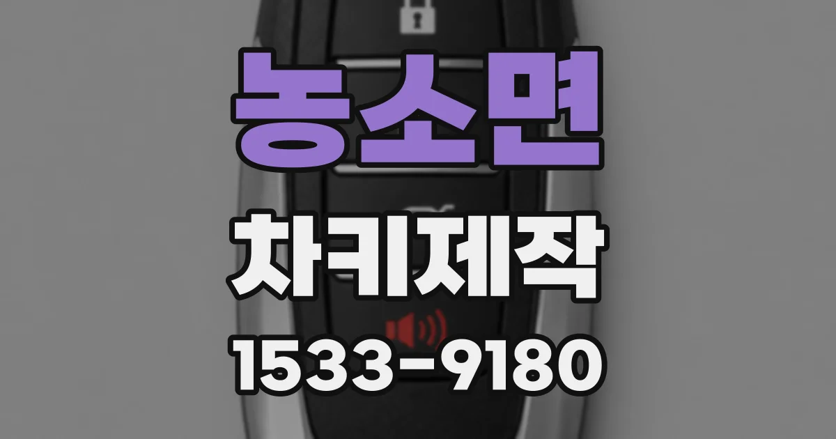 농소면 차키제작