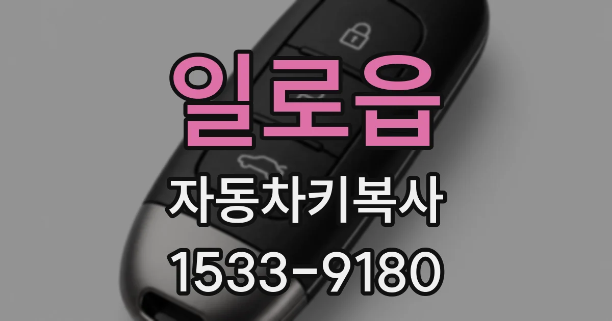 일로읍 자동차키복사