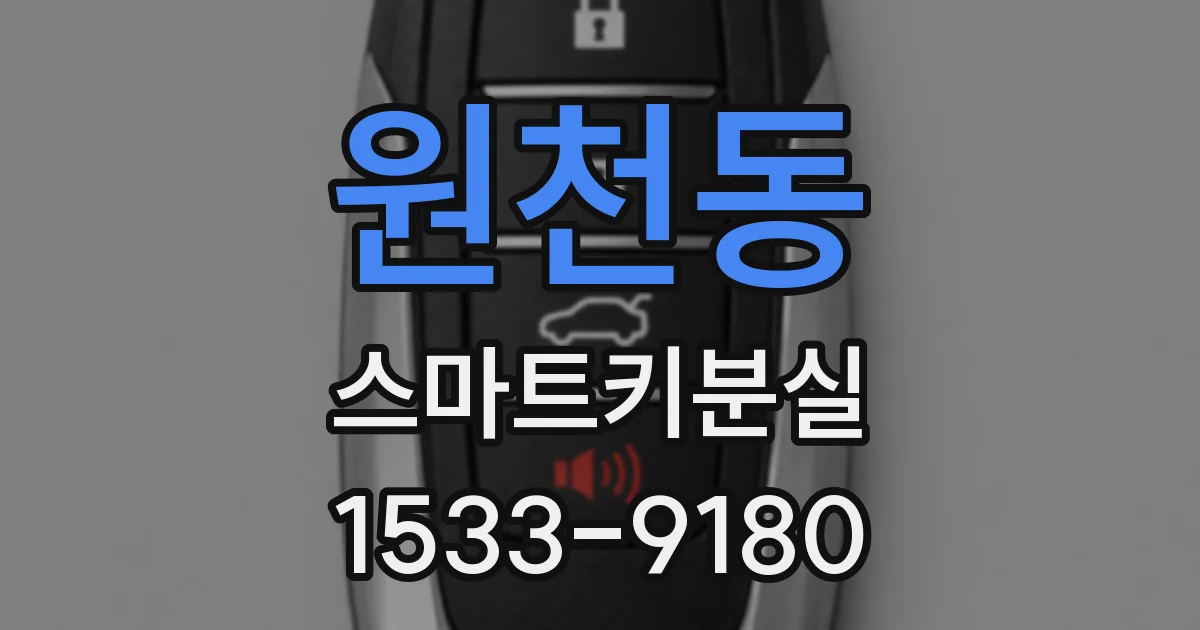 원천동 스마트키분실