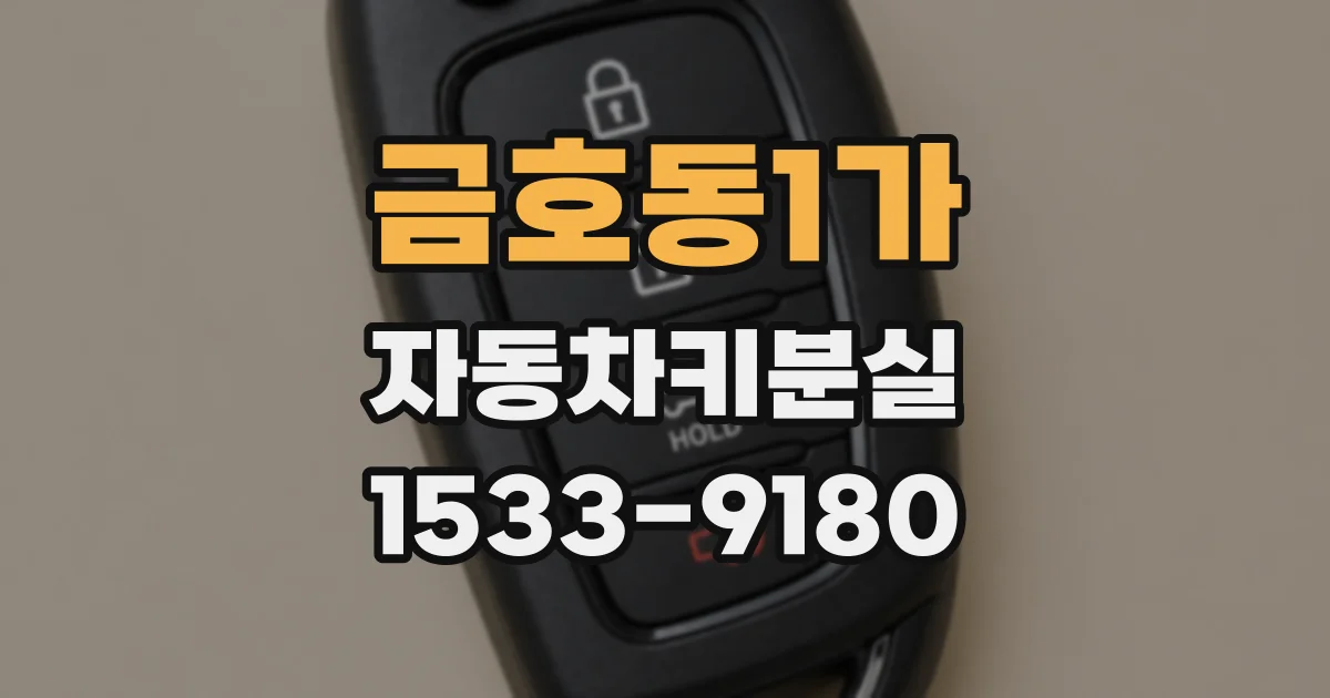 금호동1가 자동차키분실
