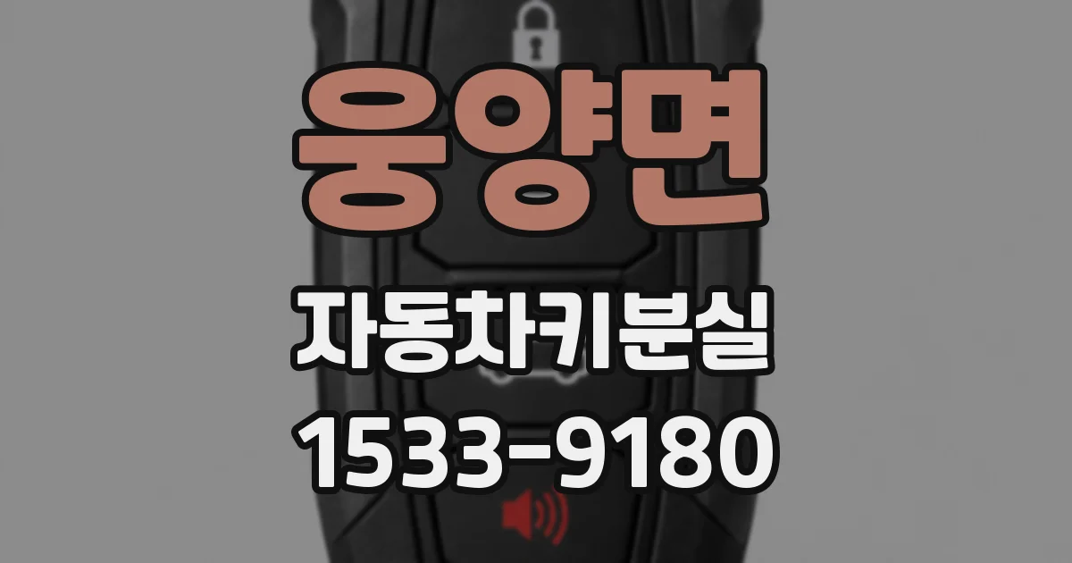 웅양면 자동차키분실