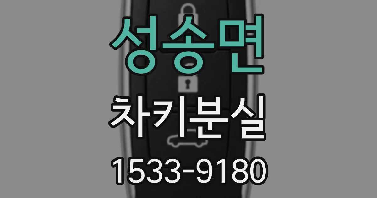 성송면 차키분실