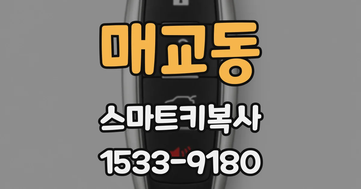 매교동 스마트키복사