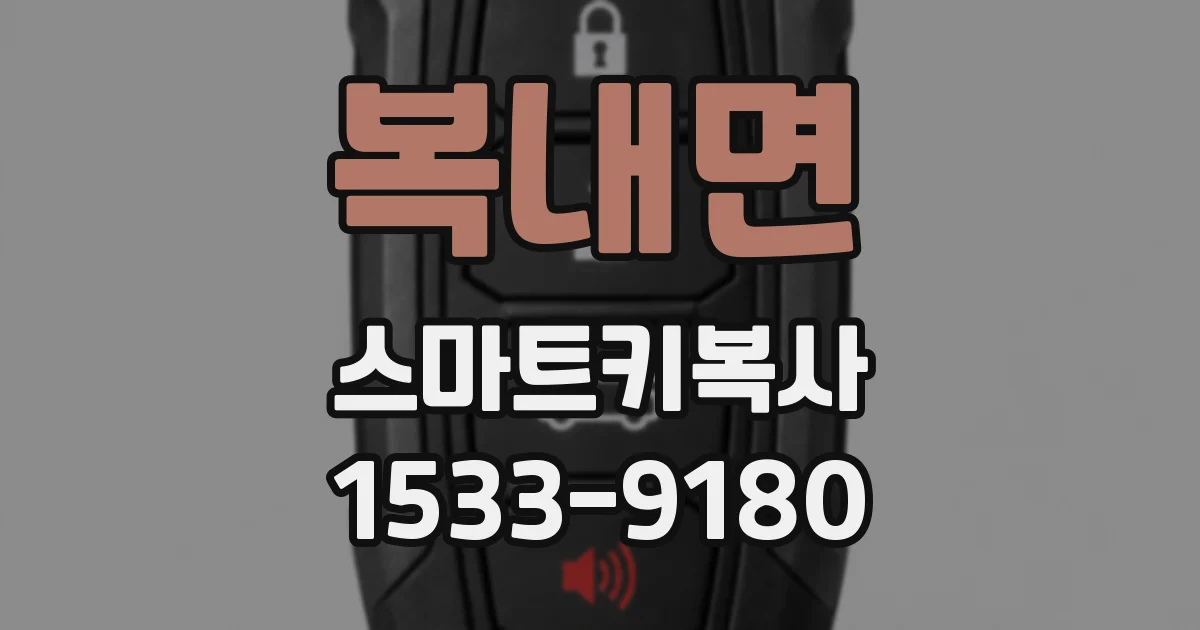 복내면 스마트키복사