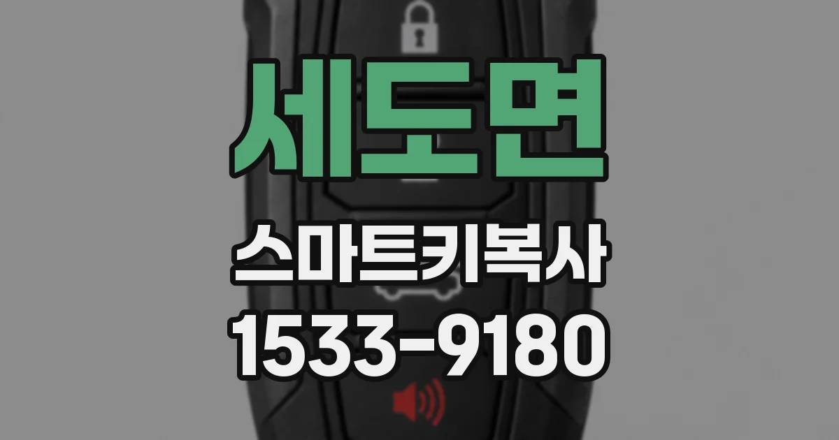 세도면 스마트키복사