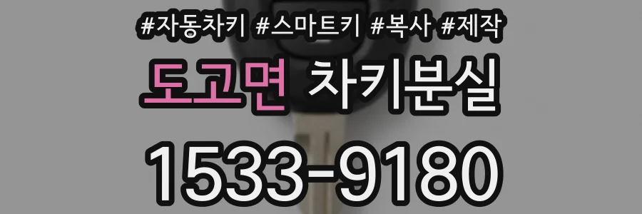 도고면 차키분실