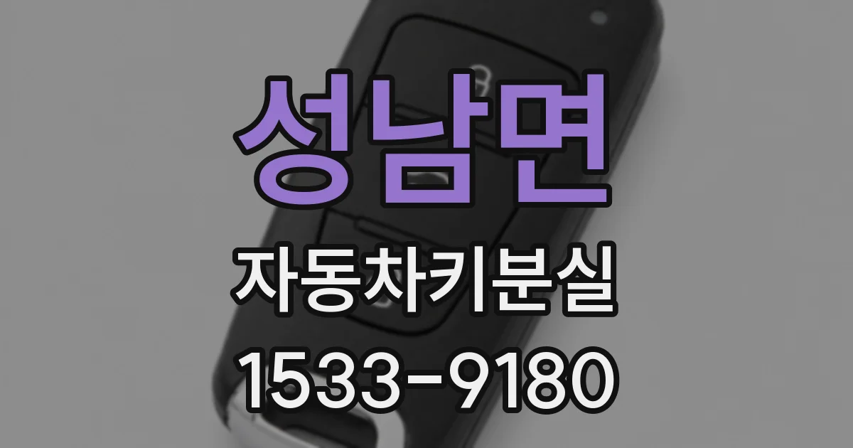 성남면 자동차키분실
