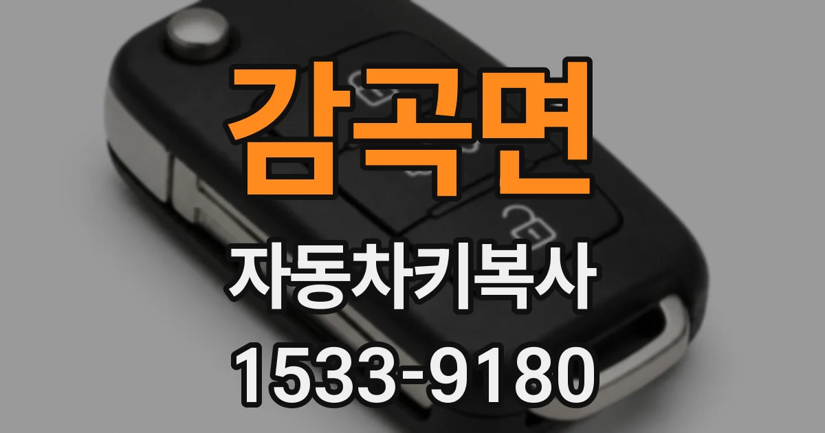 감곡면 자동차키복사