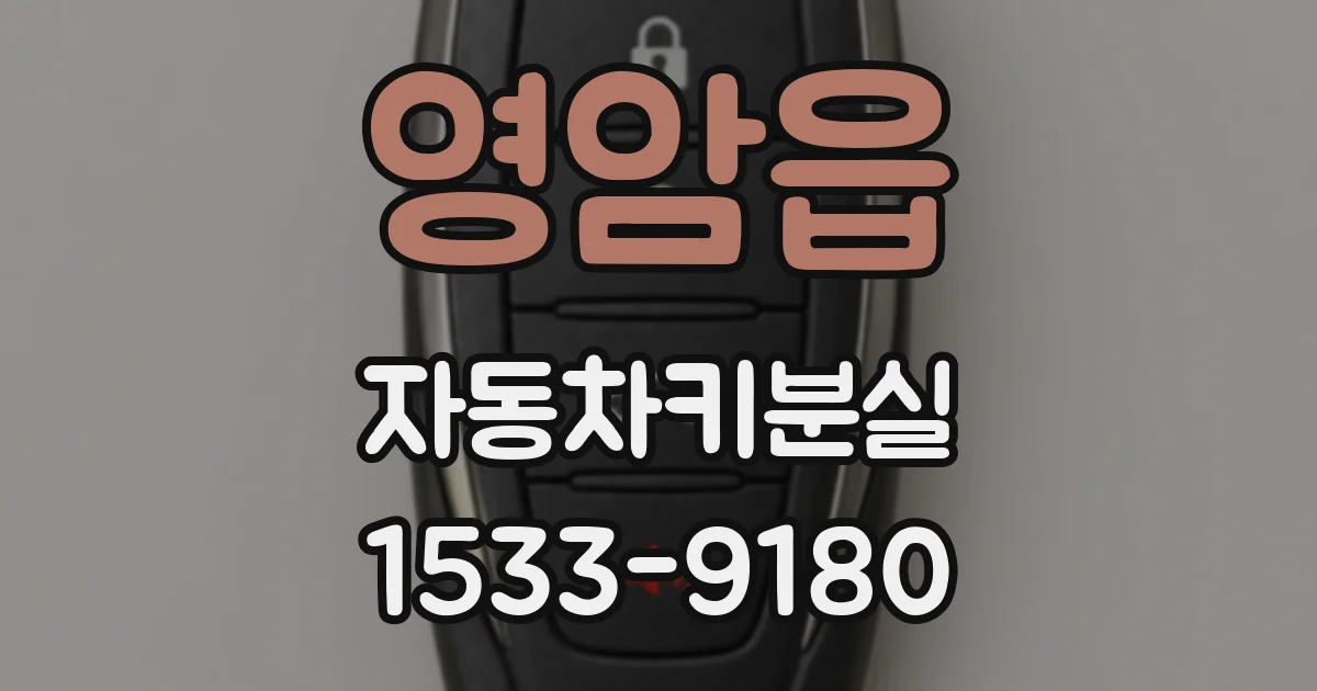 영암읍 자동차키분실