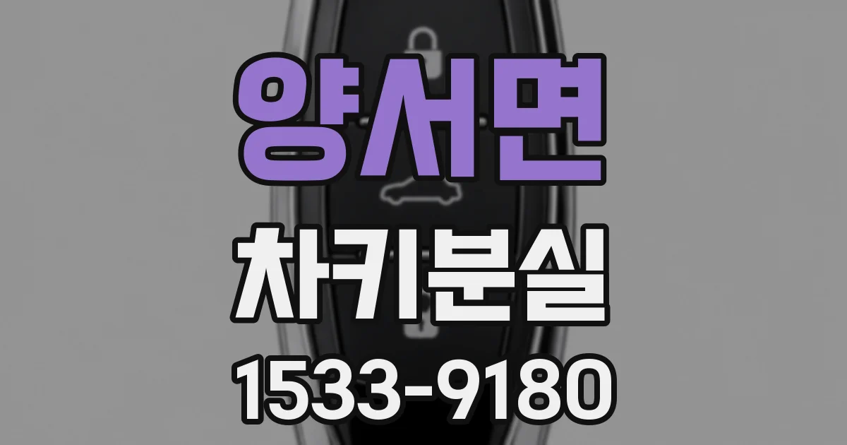 양서면 차키분실