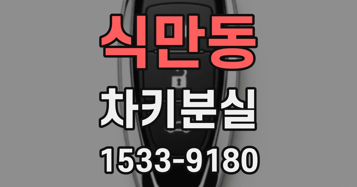 식만동 차키분실
