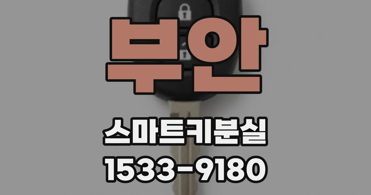부안 스마트키분실