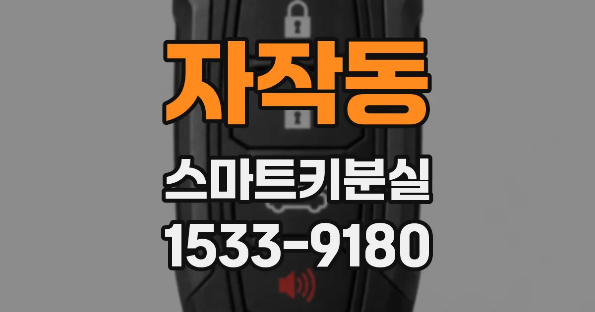 자작동 스마트키분실