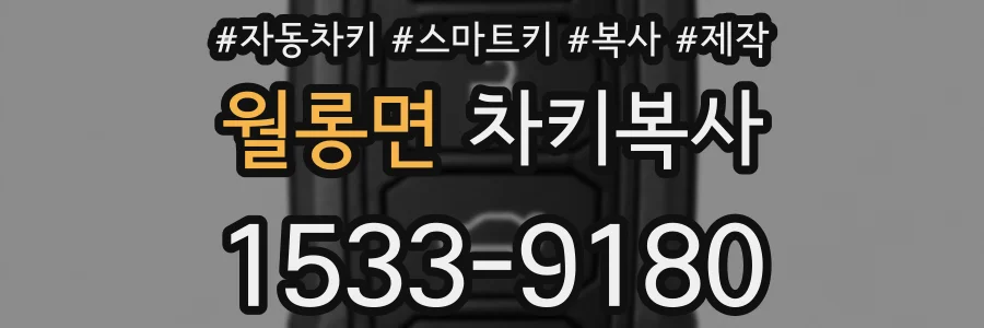 월롱면 차키복사