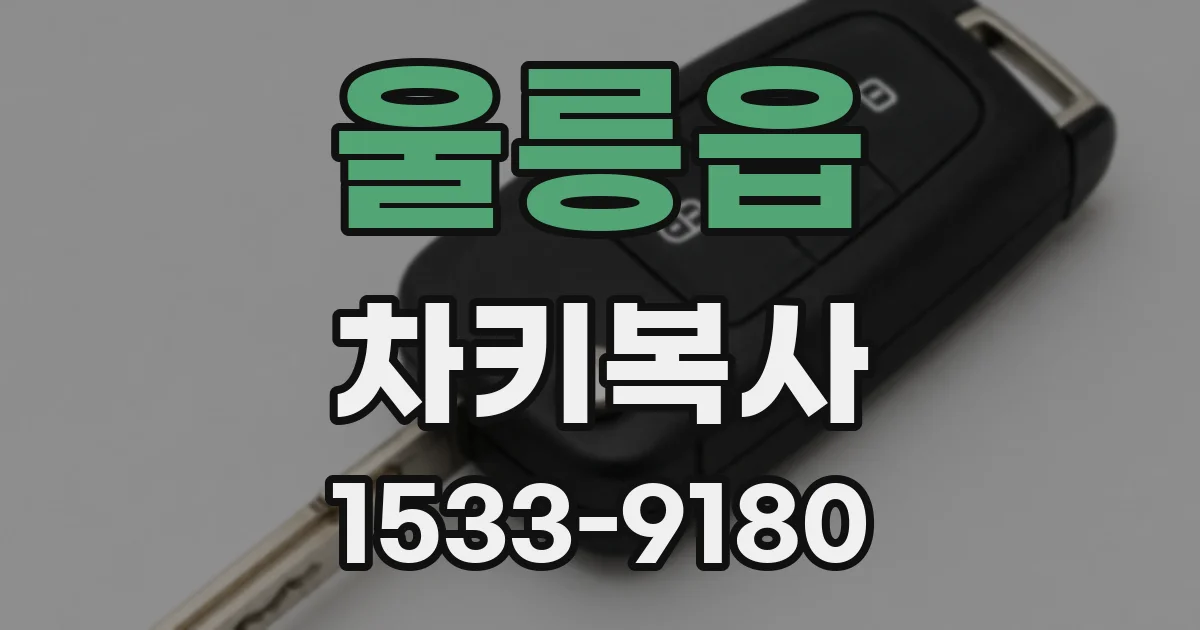 울릉읍 차키복사