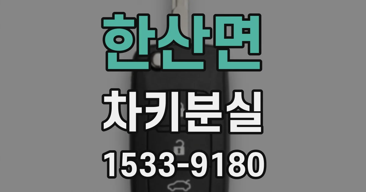 한산면 차키분실
