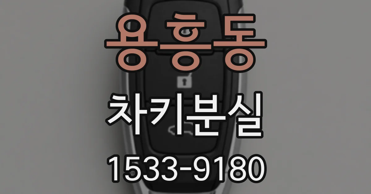 용흥동 차키분실