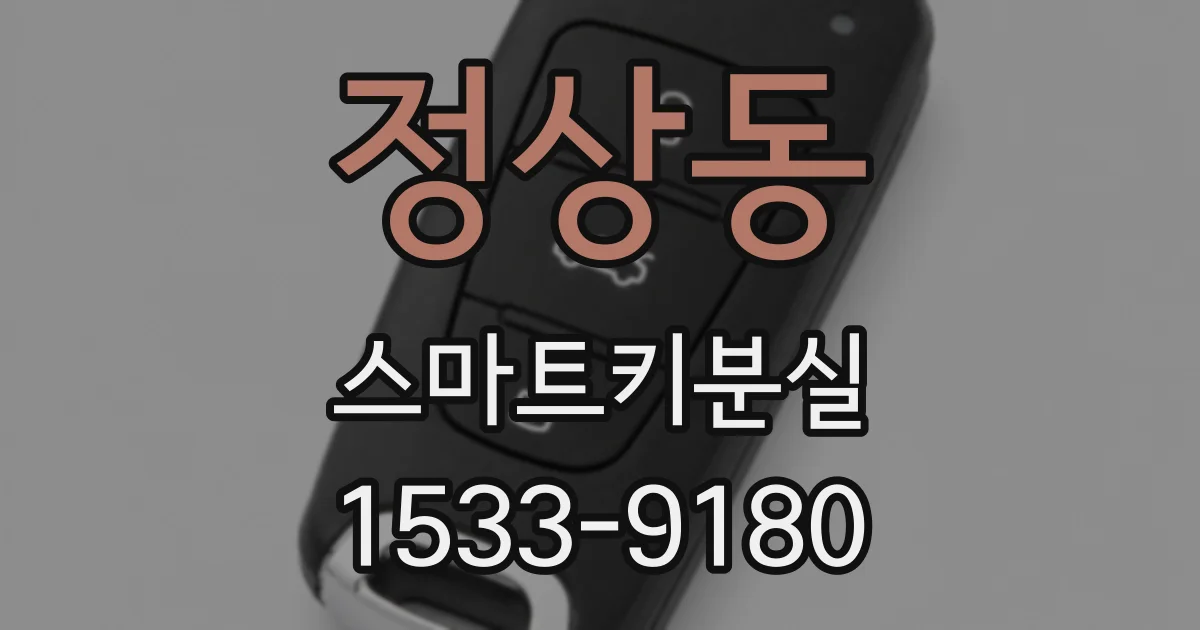 정상동 스마트키분실