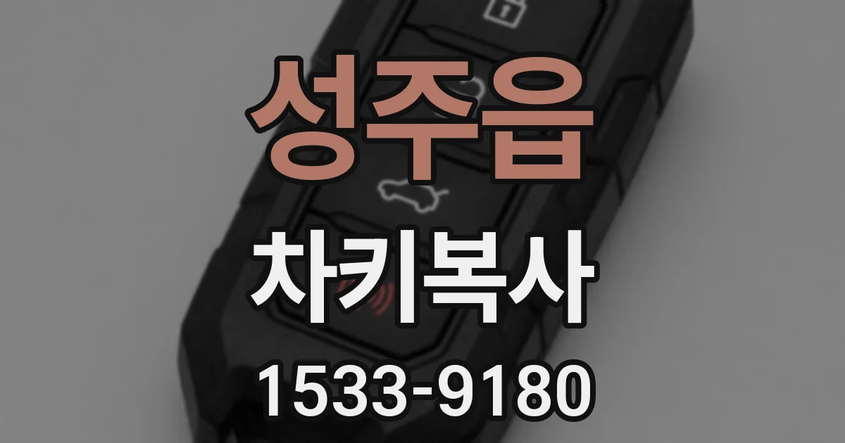 성주읍 차키복사