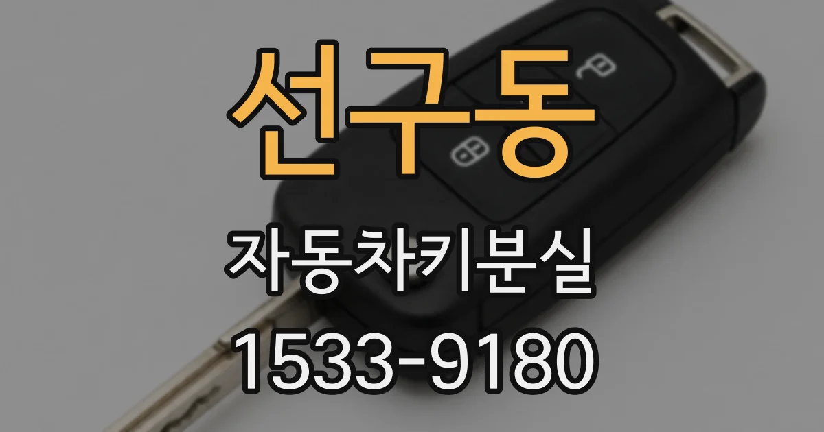선구동 자동차키분실