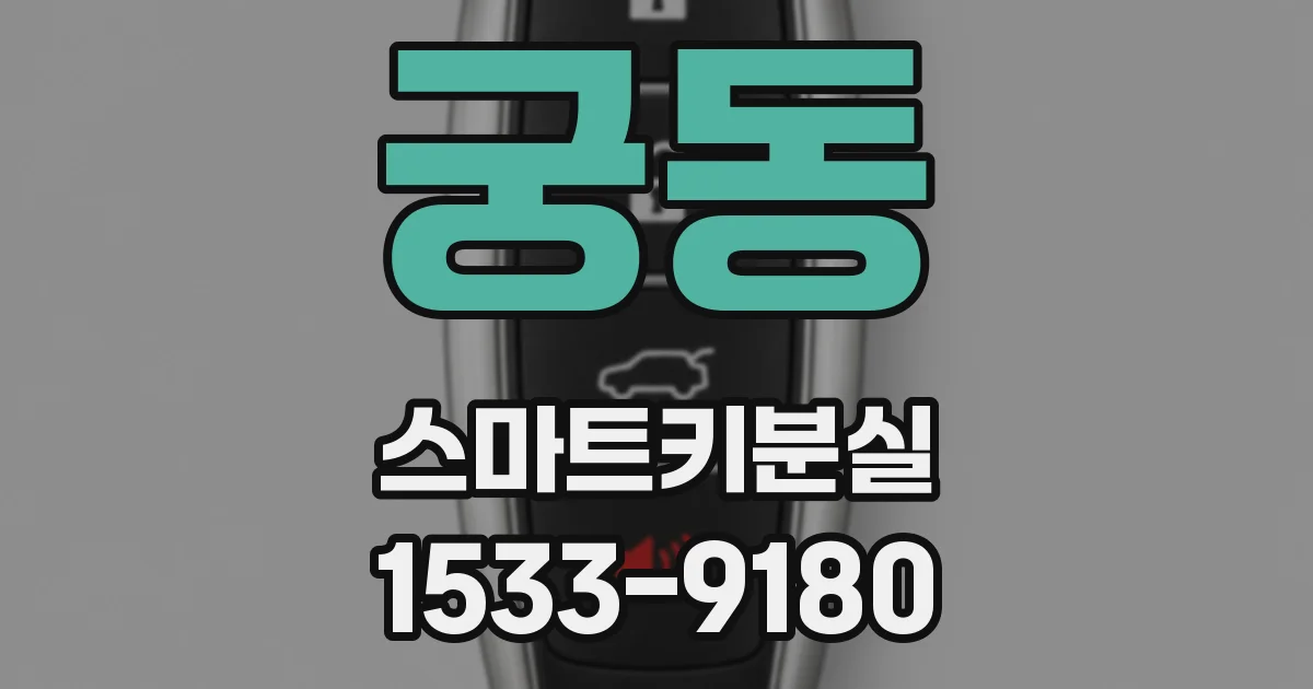 궁동 스마트키분실