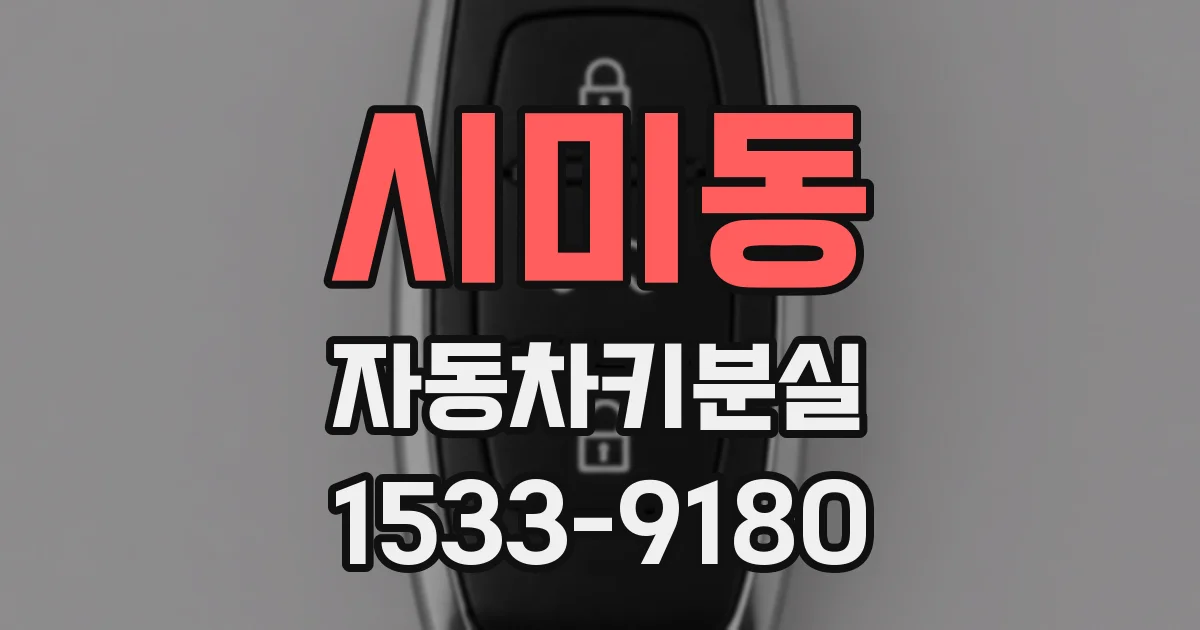 시미동 자동차키분실