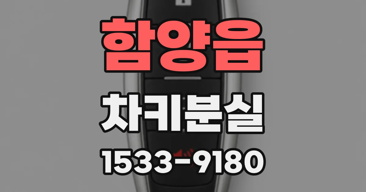 함양읍 차키분실