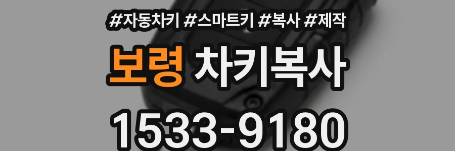 보령 차키복사