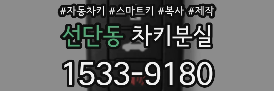 선단동 차키분실