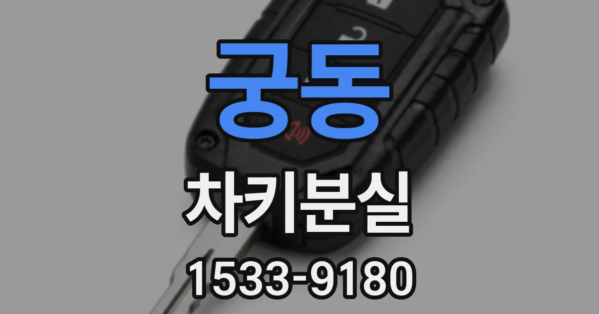 궁동 차키분실