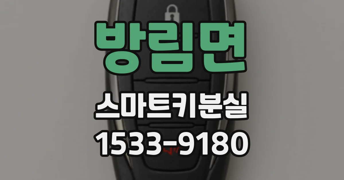 방림면 스마트키분실