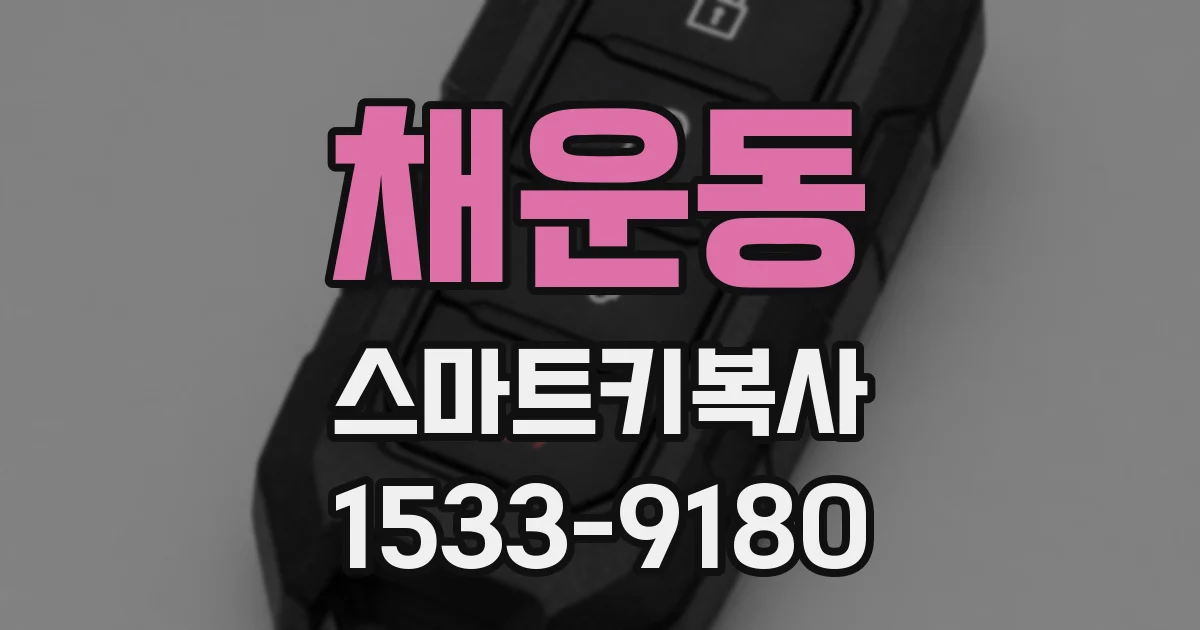 채운동 스마트키복사