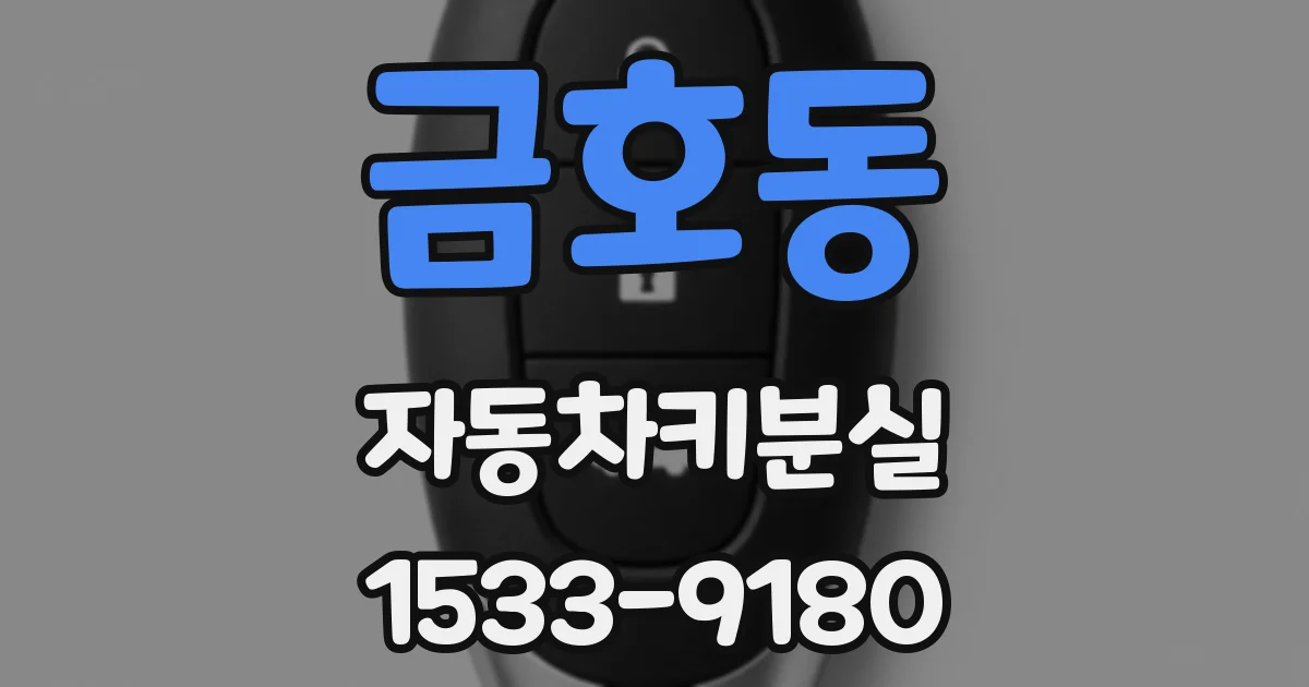 금호동 자동차키분실