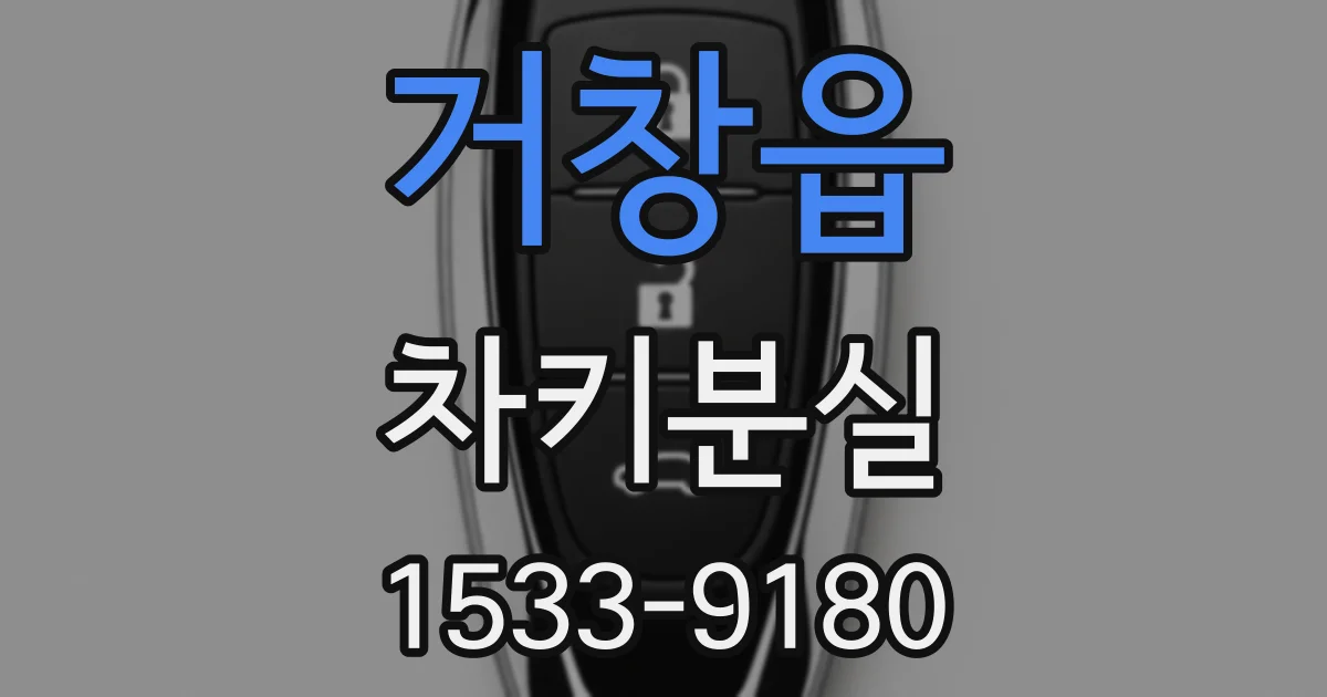거창읍 차키분실