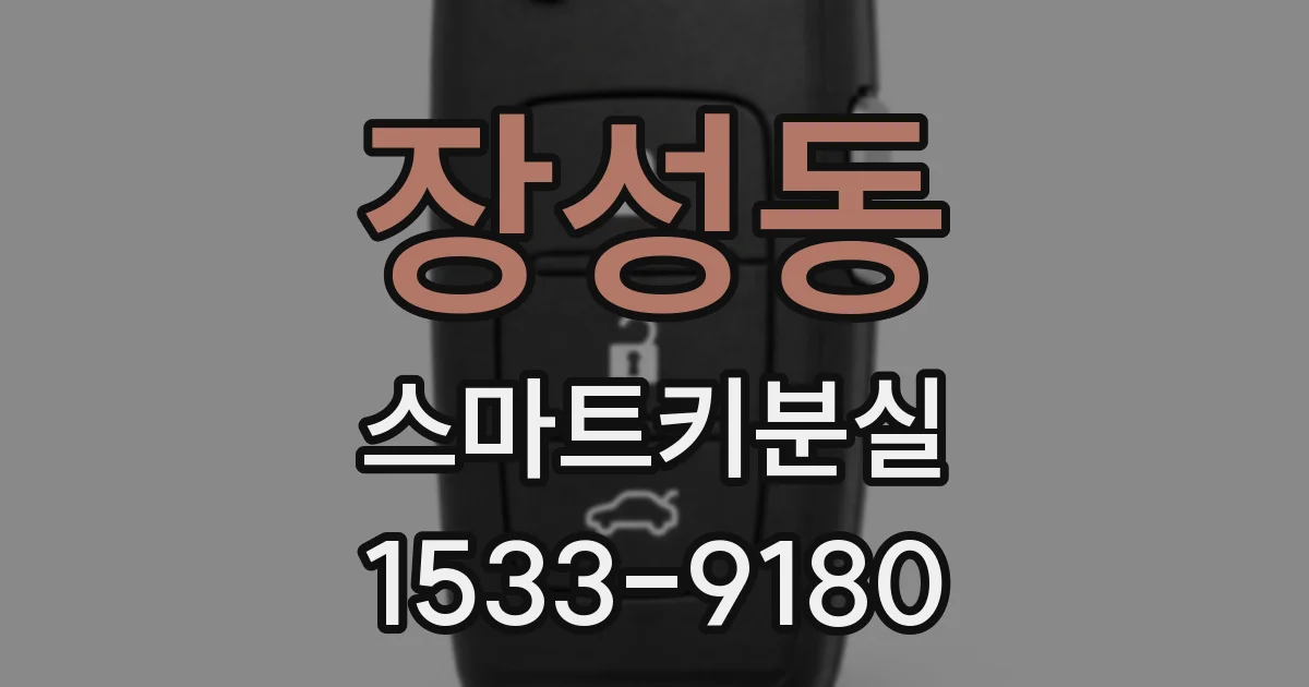 장성동 스마트키분실