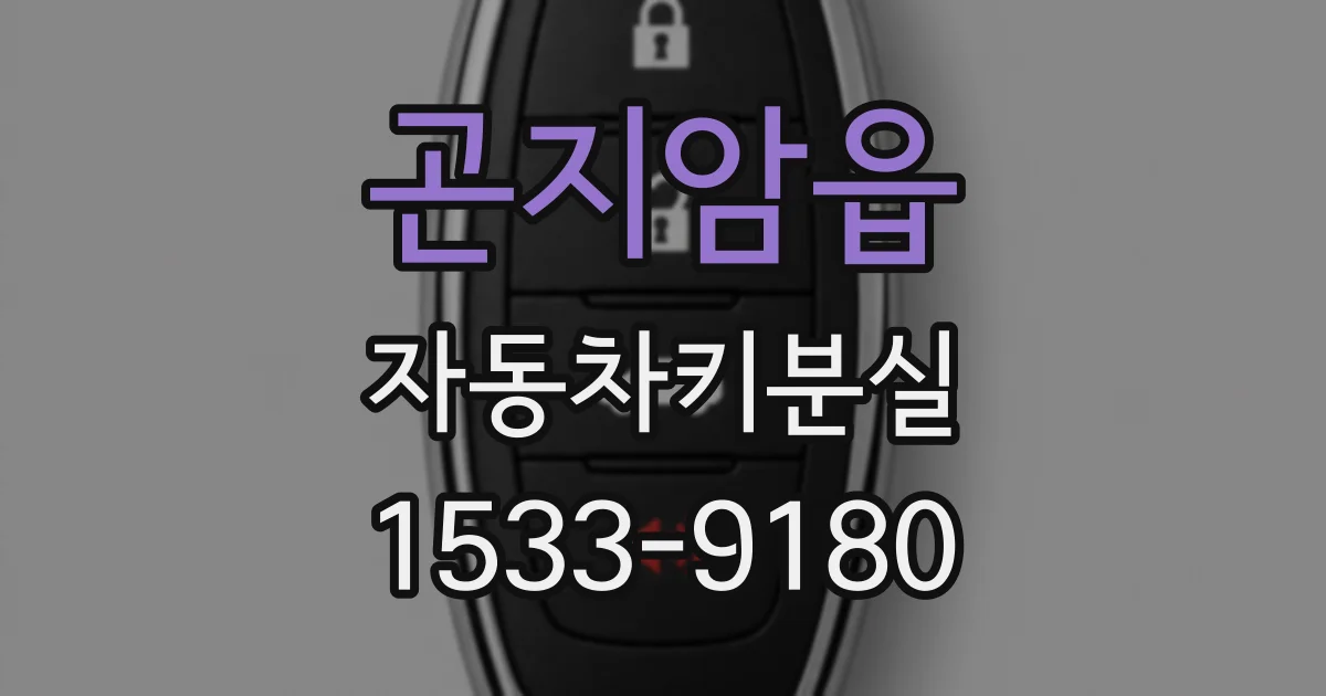 곤지암읍 자동차키분실