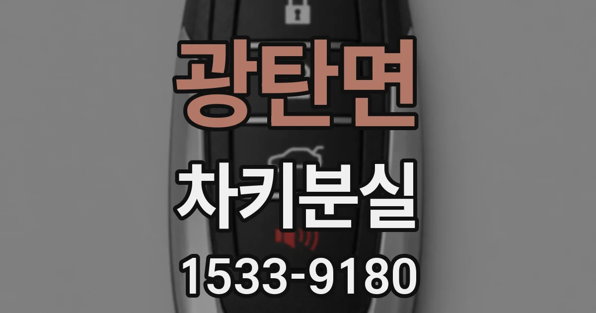 광탄면 차키분실