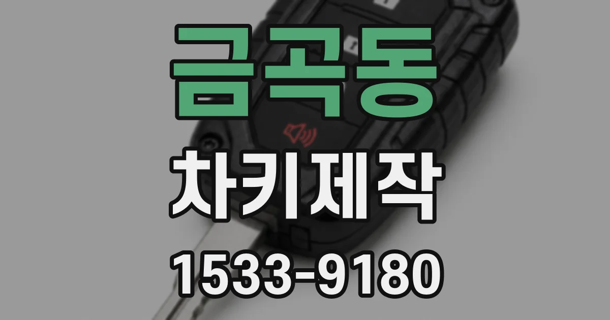 금곡동 차키제작