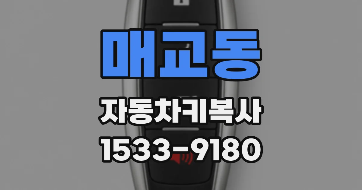 매교동 자동차키복사