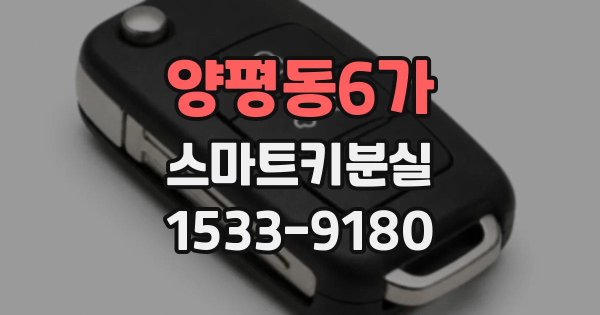양평동6가 스마트키분실