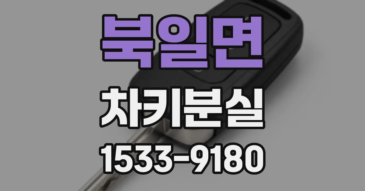 북일면 차키분실