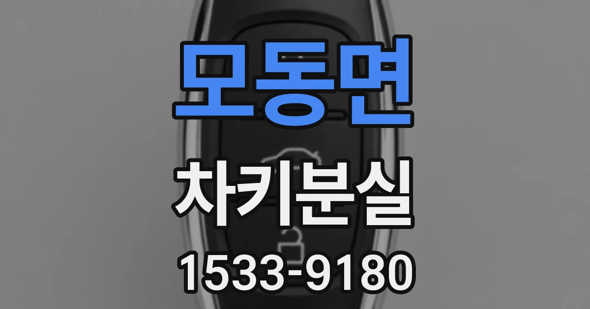 모동면 차키분실