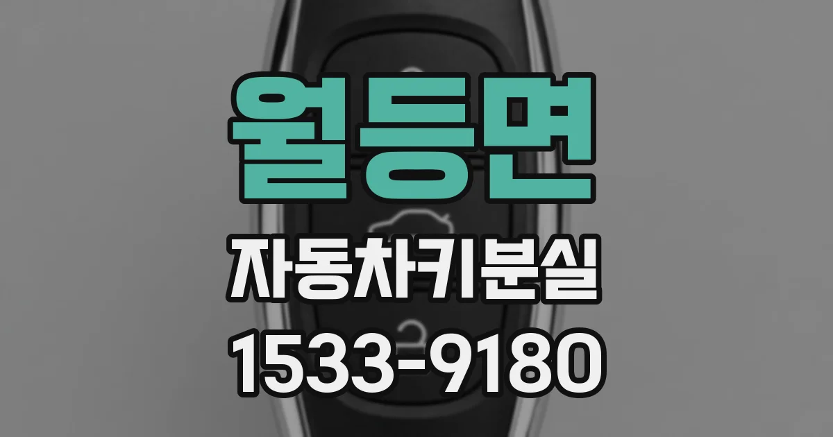 월등면 자동차키분실